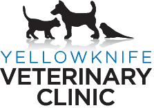 Yellowknife Veterinary Clinic